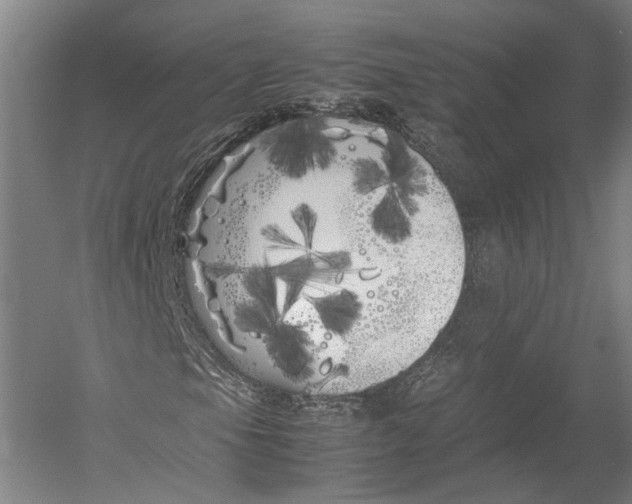 X0000052971105200507300130