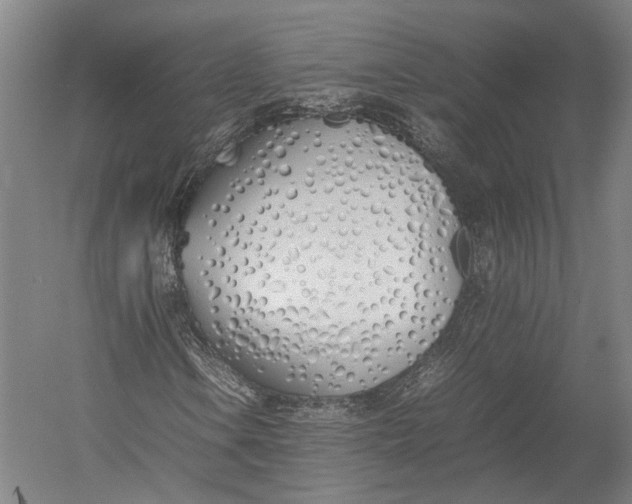 X0000052971106200507300130