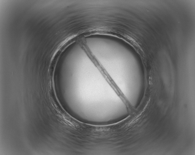 X0000052971117200507300130