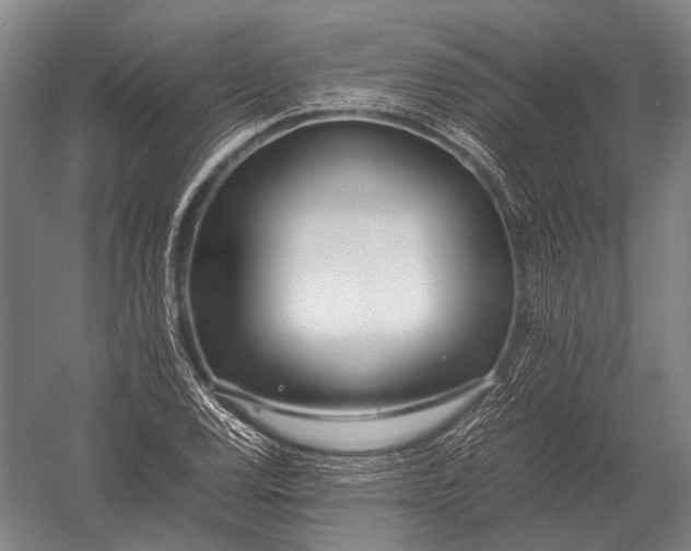 X0000052971120200507300130