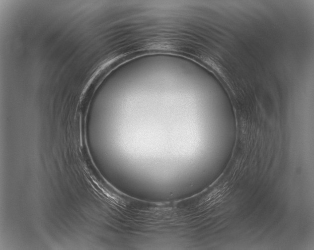 X0000052971123200507300130