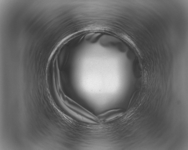 X0000052971124200507300130