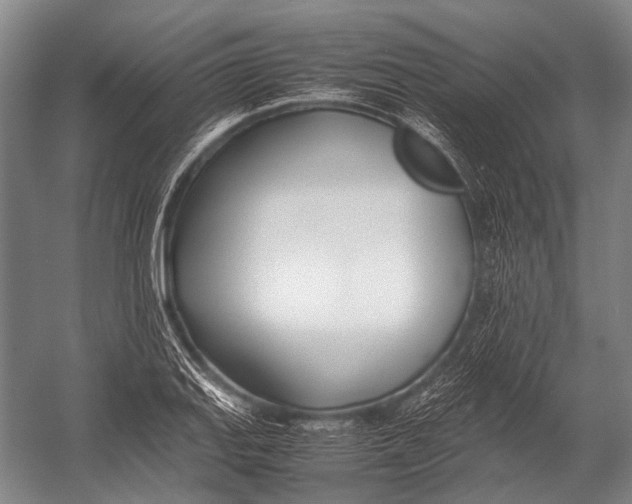 X0000052971127200507300130