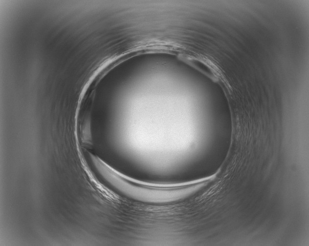 X0000052971128200507300130