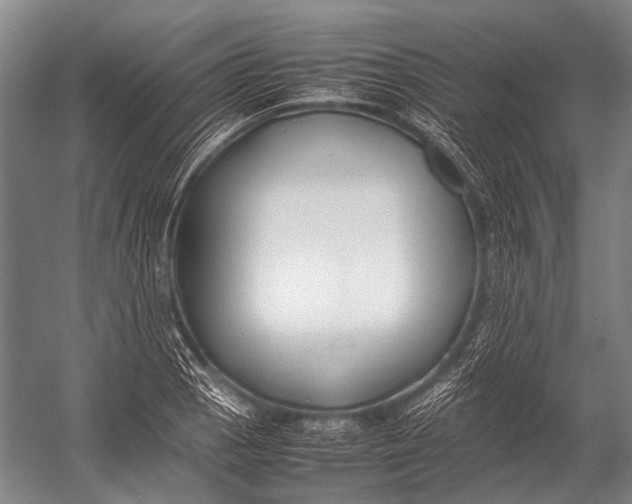 X0000052971129200507300130