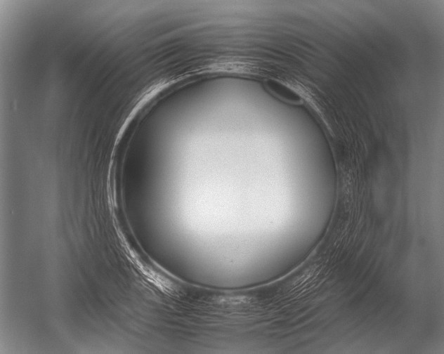 X0000052971131200507300130