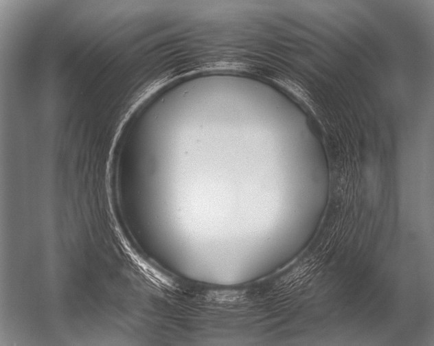 X0000052971135200507300130