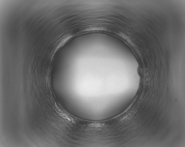 X0000052971137200507300130