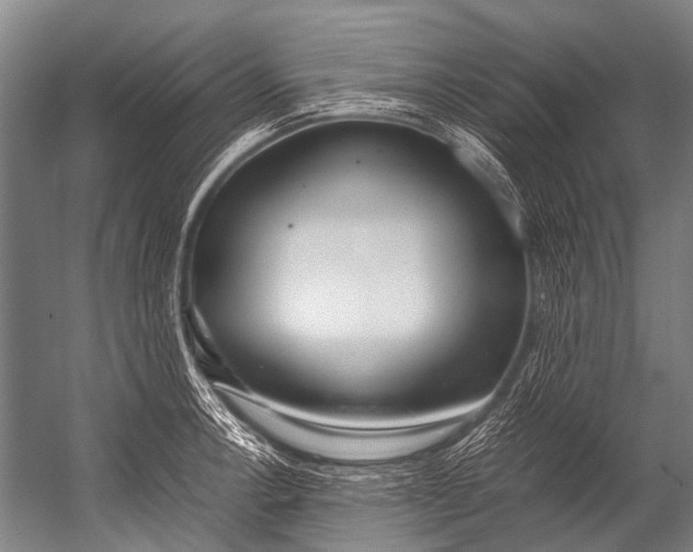 X0000052971138200507300130