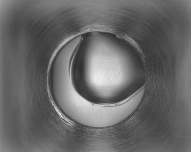 X0000052971144200507300131