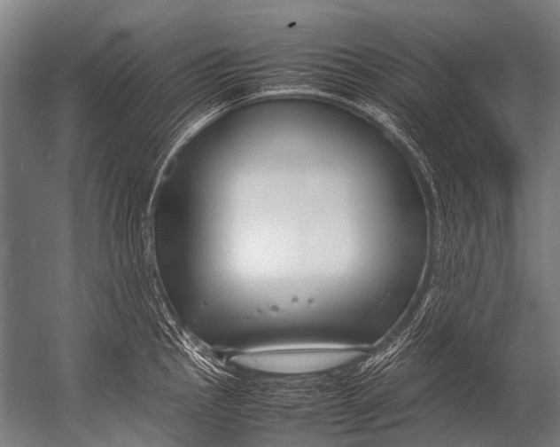 X0000052971145200507300131