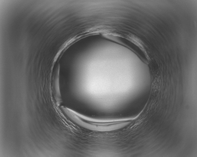X0000052971146200507300131