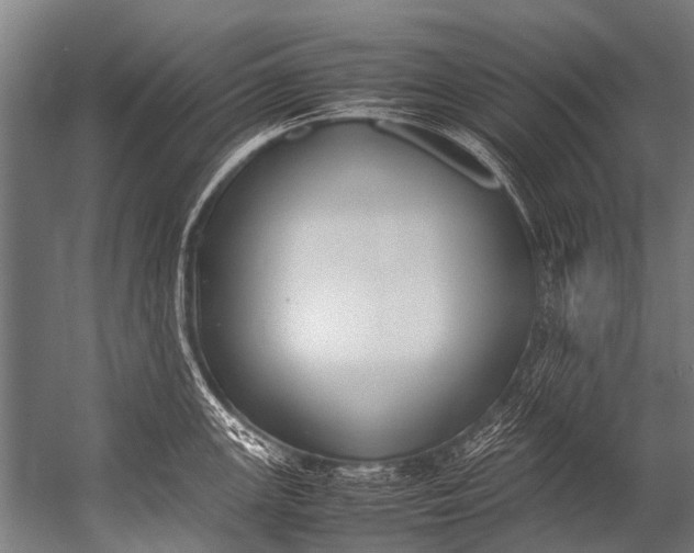 X0000052971147200507300131