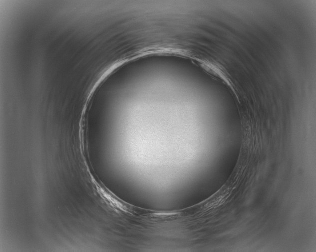 X0000052971151200507300131