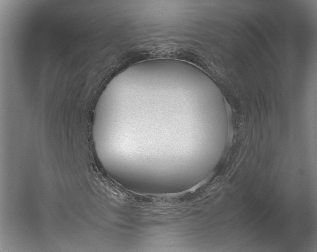 X0000052971153200507300130