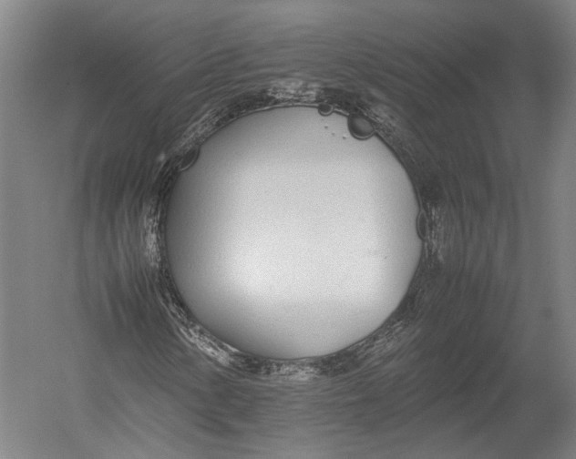 X0000052971154200507300130