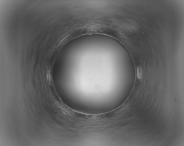 X0000052971155200507300130