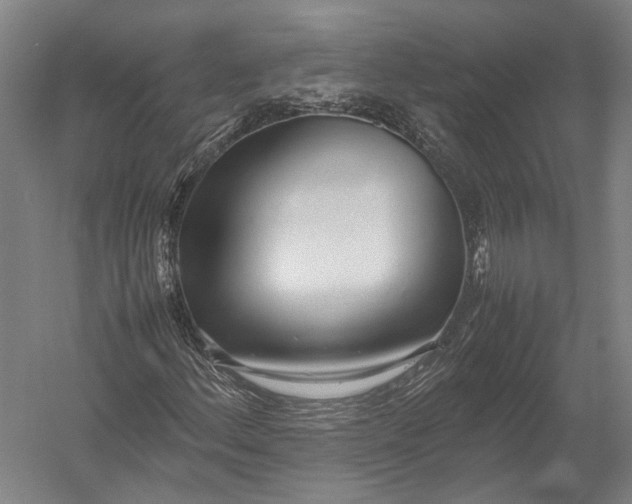 X0000052971156200507300130