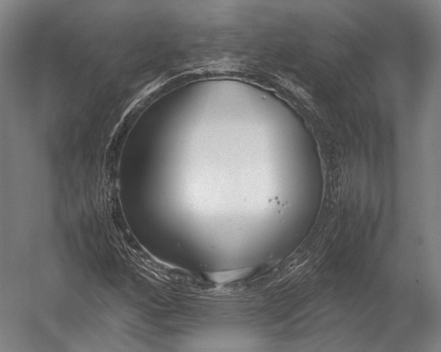 X0000052971160200507300130