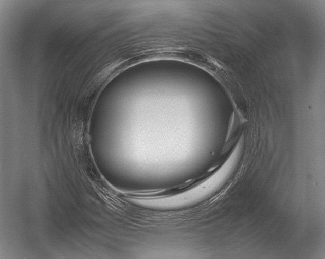 X0000052971161200507300130
