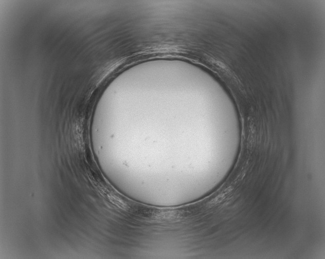 X0000052971162200507300130