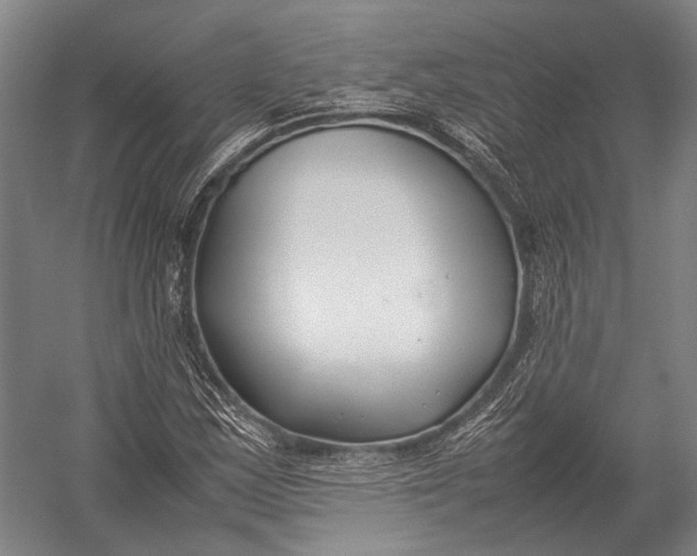 X0000052971163200507300130