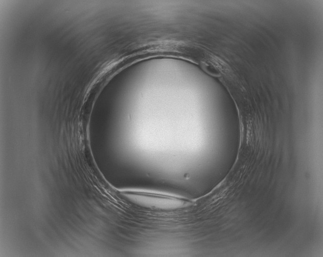 X0000052971164200507300130