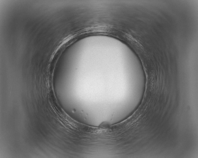 X0000052971166200507300130