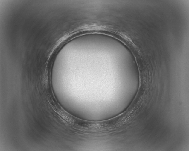 X0000052971167200507300130