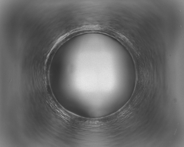 X0000052971168200507300130