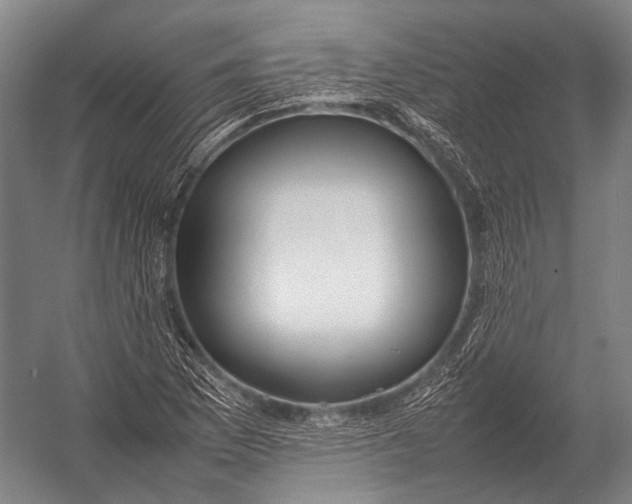 X0000052971169200507300130