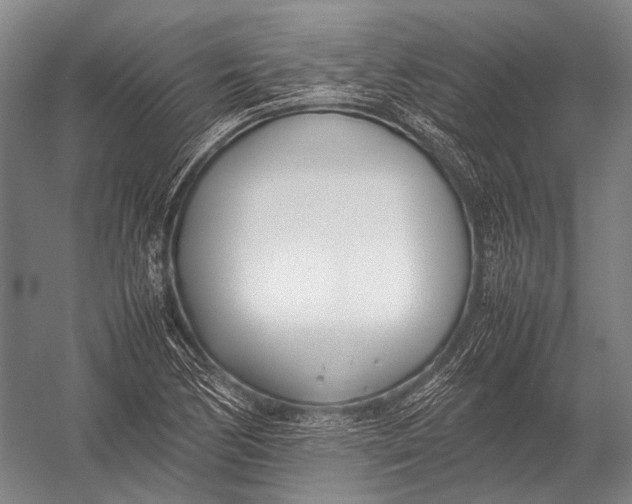 X0000052971170200507300130