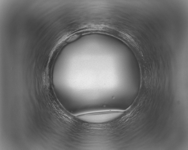 X0000052971172200507300130