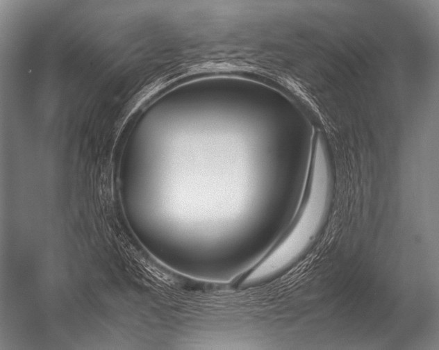 X0000052971173200507300130
