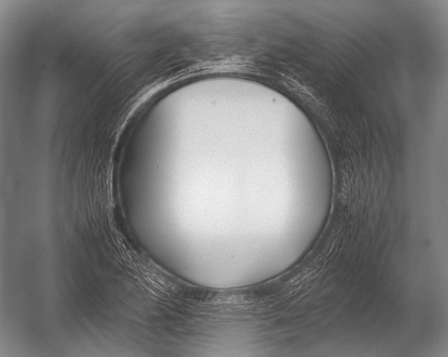 X0000052971174200507300130