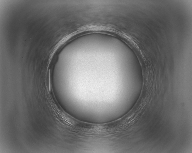 X0000052971175200507300129
