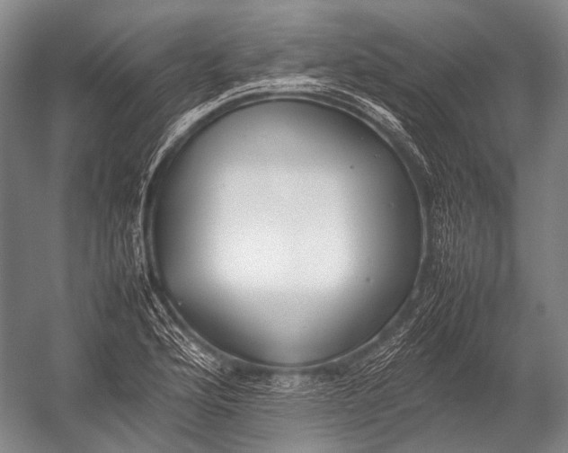 X0000052971176200507300129