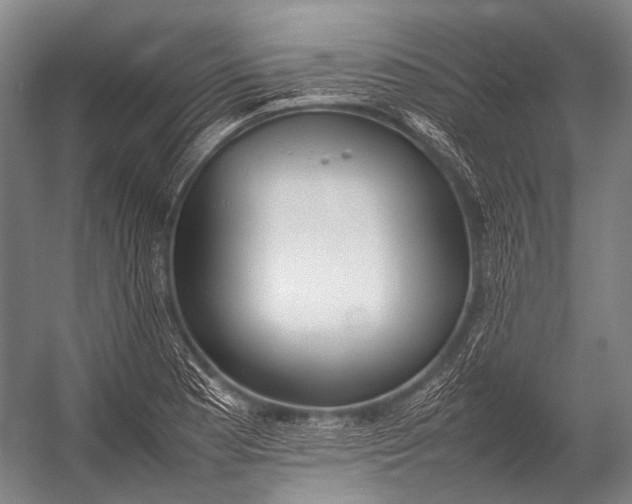 X0000052971177200507300129