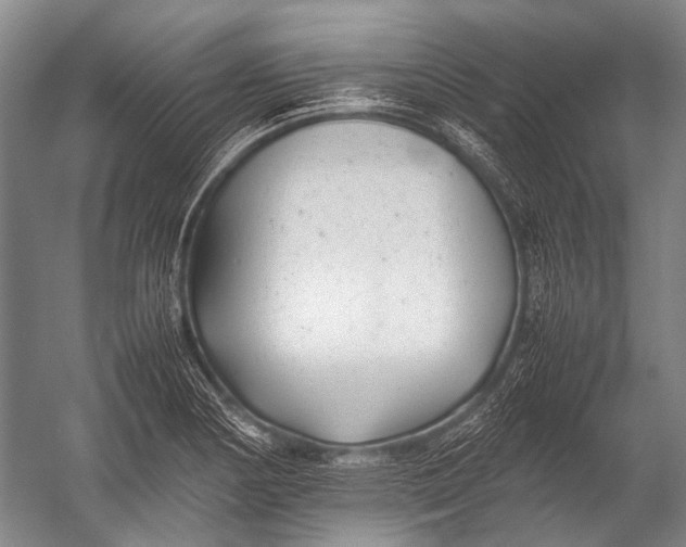 X0000052971178200507300129