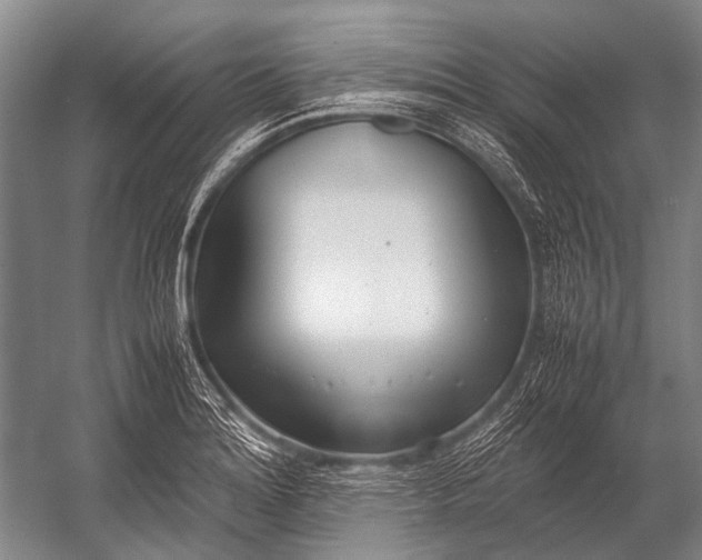X0000052971180200507300129