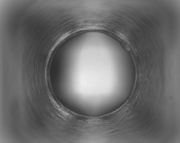 X0000052971181200507300129