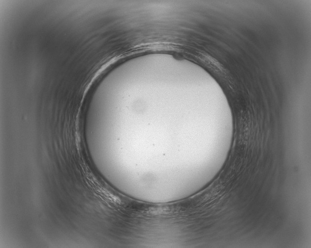 X0000052971182200507300129