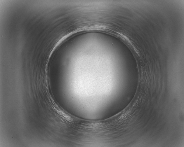 X0000052971184200507300129