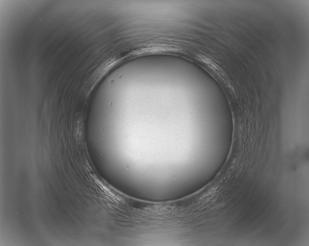 X0000052971185200507300129