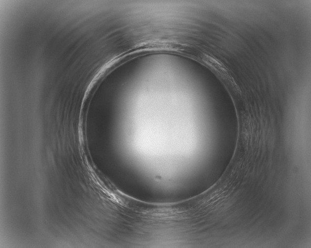 X0000052971188200507300129