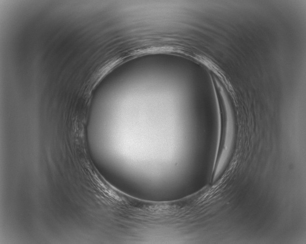 X0000052971193200507300129