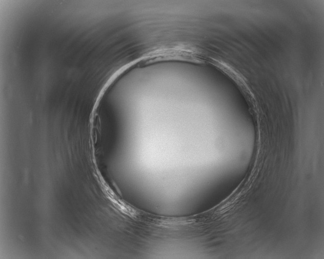 X0000052971200200507300129