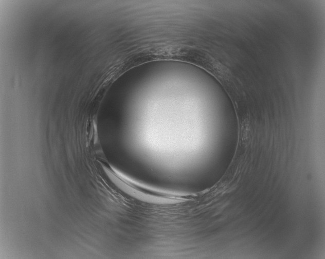 X0000052971202200507300128