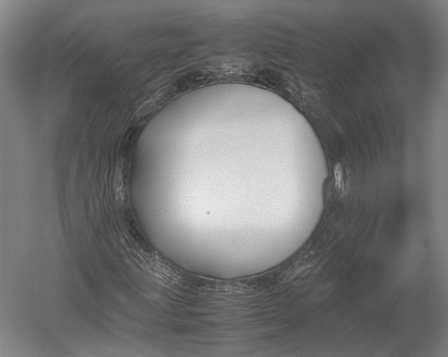 X0000052971203200507300128