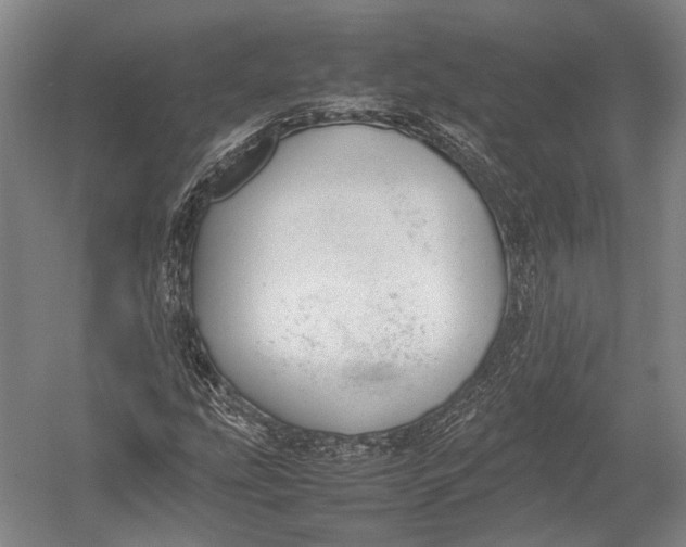 X0000052971207200507300128
